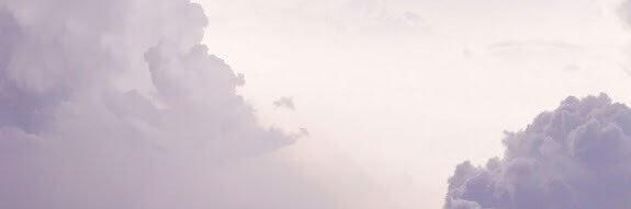 holly_wolfe's profile banner image