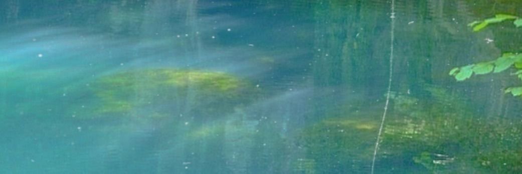 Cece banner