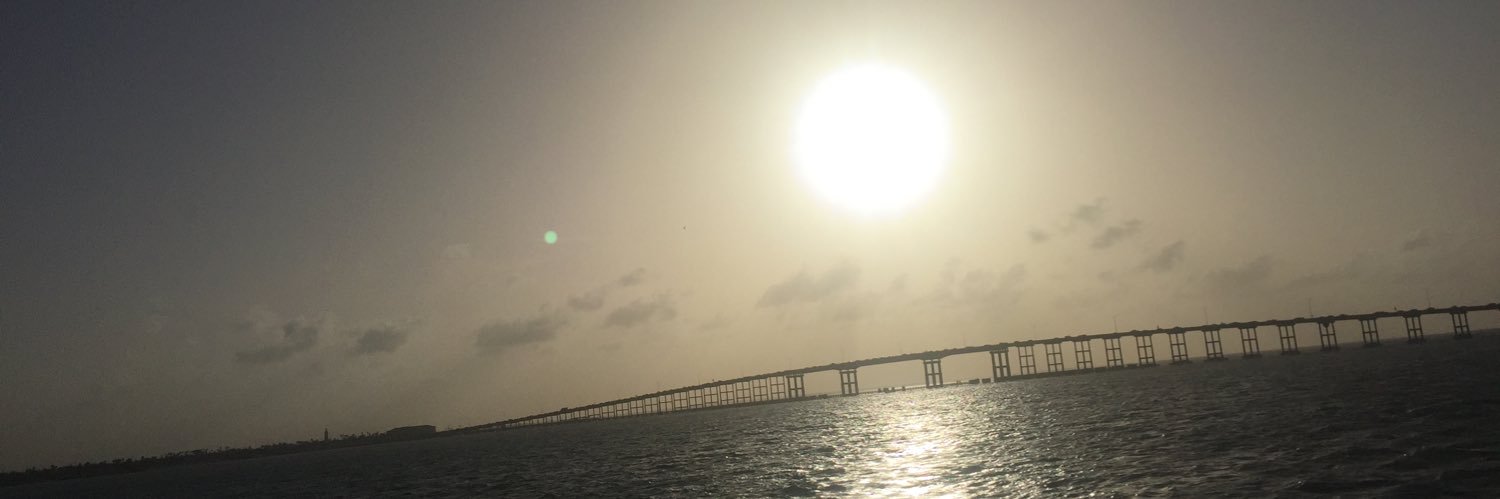 raquelmsolis's profile banner image