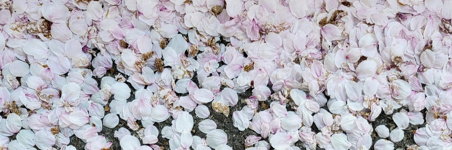 COCORO_BTS's profile banner image