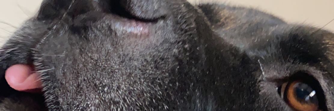 MousseauColsen's profile banner image