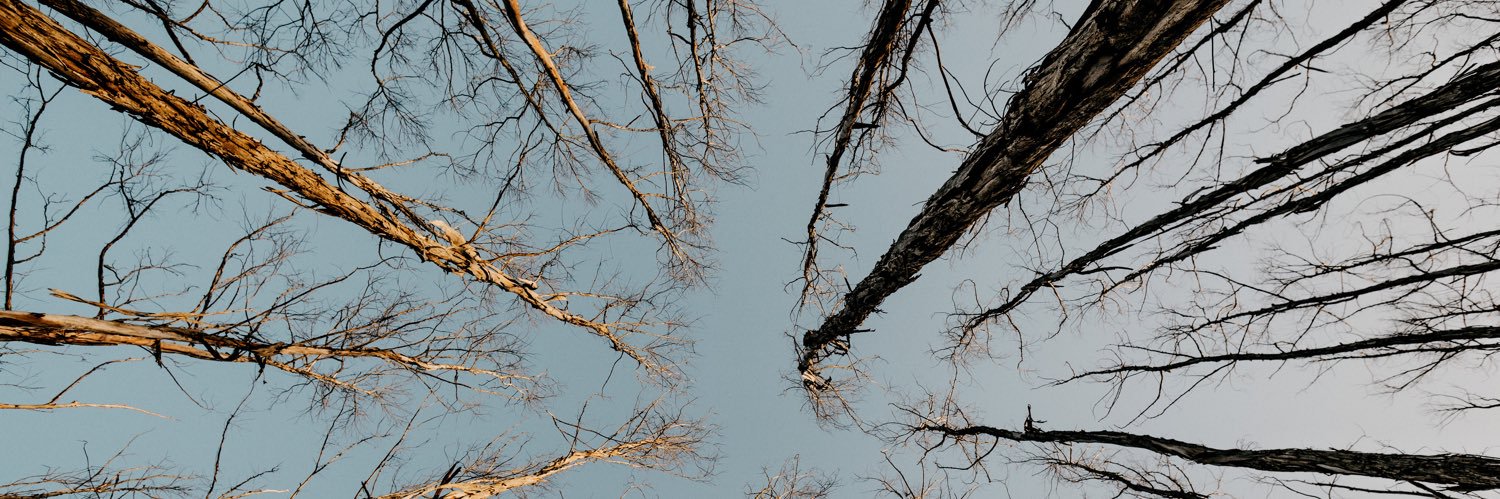 mcdaaaniel's profile banner image