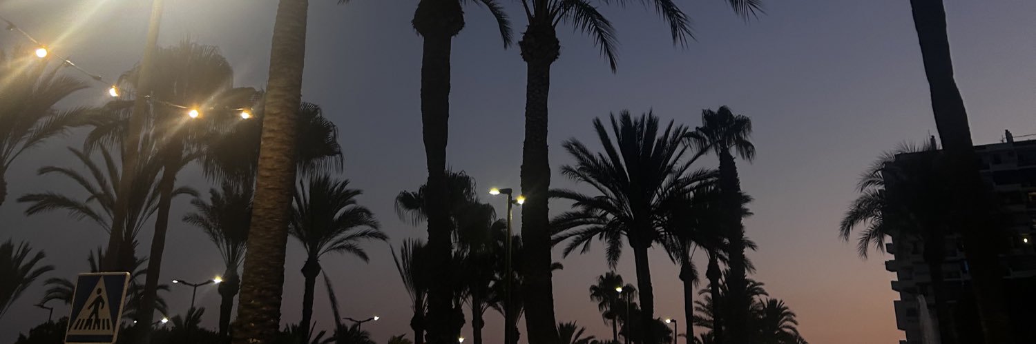 MirinMcC's profile banner image