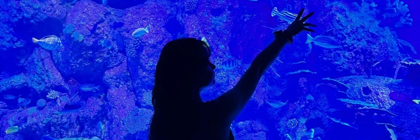 Monicavlnc's profile banner image