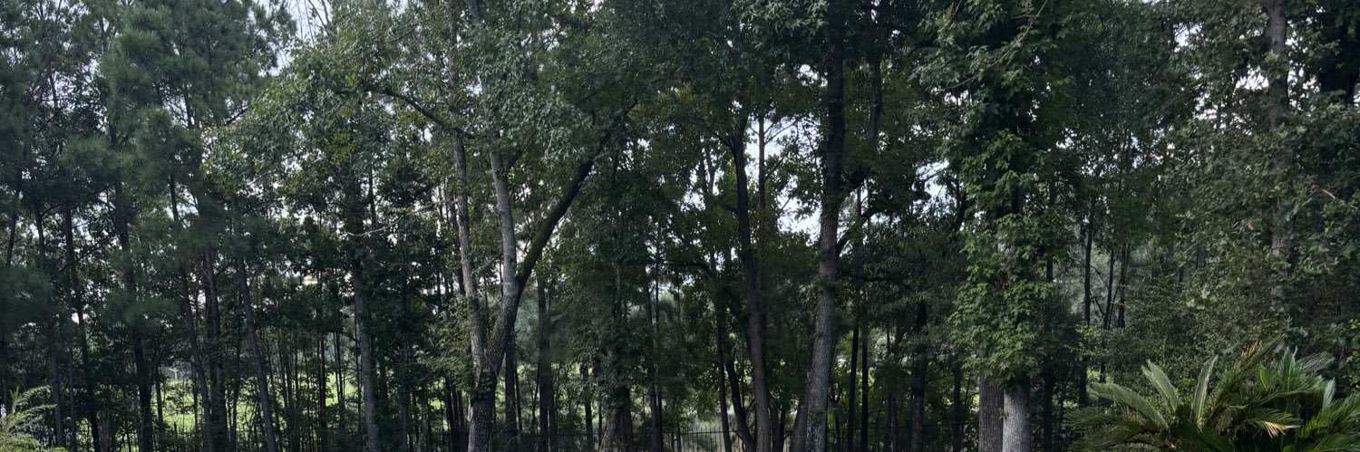 Joseph Alexander banner