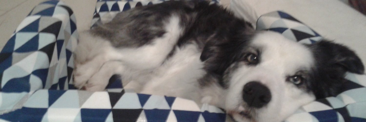 Faraday Allas banner