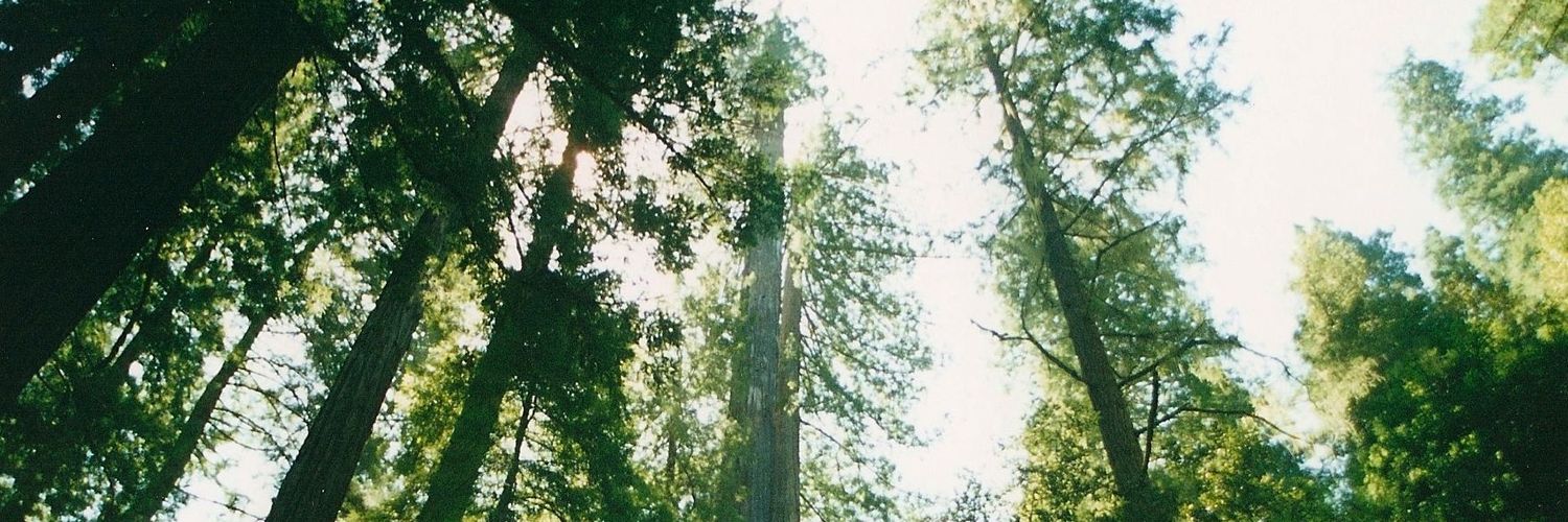 Pursuing Context banner