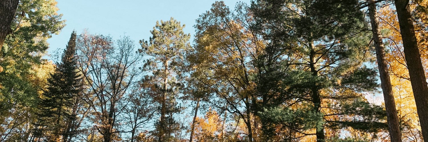mnbrewbabe's profile banner image