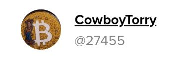 (Cowboy)Torryleepowers ⚡️ banner