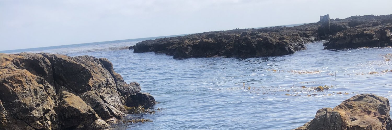 caperuchito's profile banner image