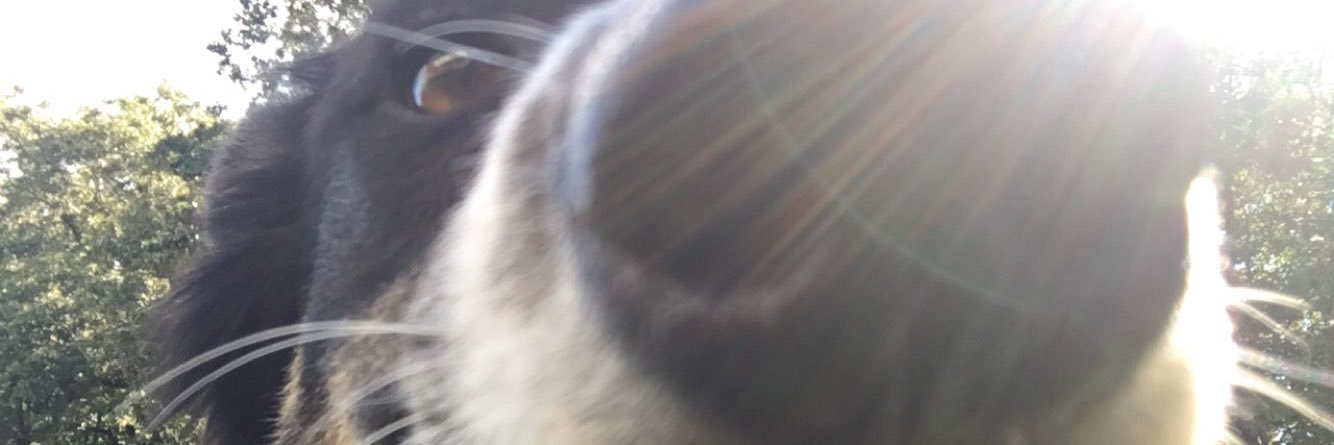h_fox7's profile banner image