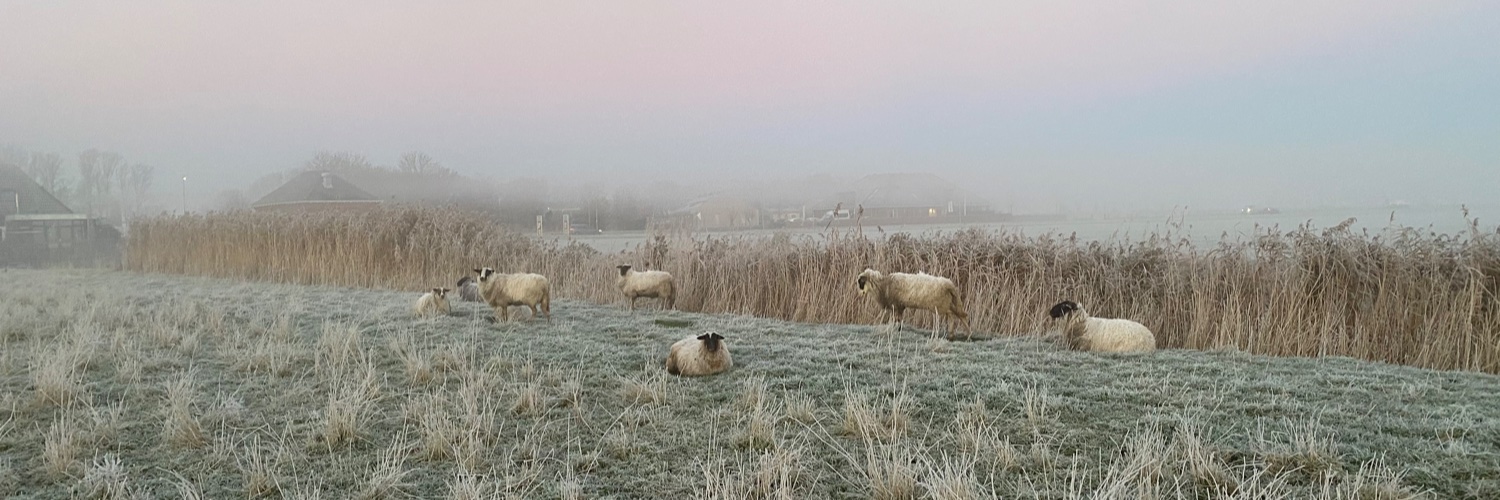 Desmin Dekker banner