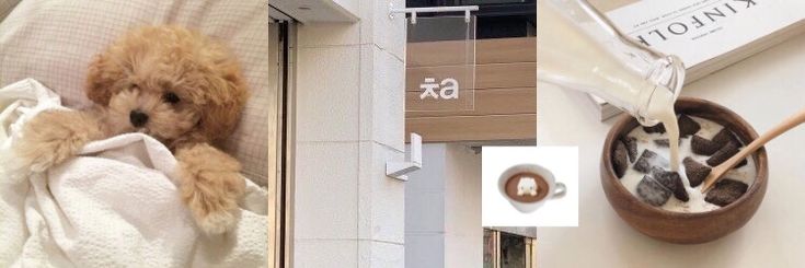 ay ´･ᴗ･` banner