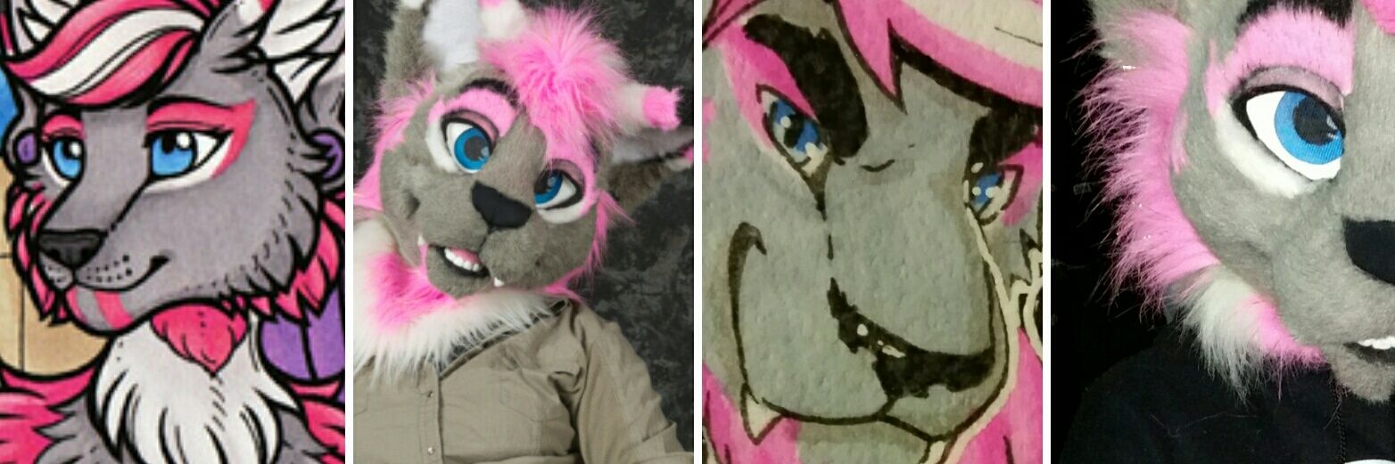 TaruCatThing's profile banner image
