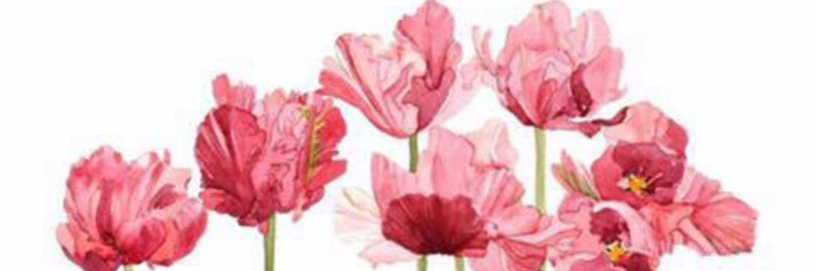 Apple Siriporn banner