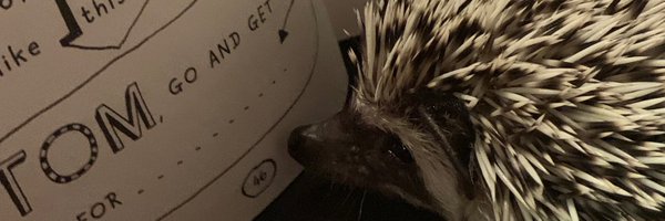 MrG_Year4 Profile Banner