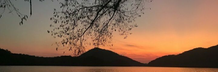 abigailgrace_f's profile banner image