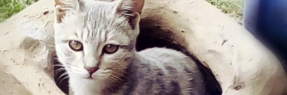 fais_14's profile banner image