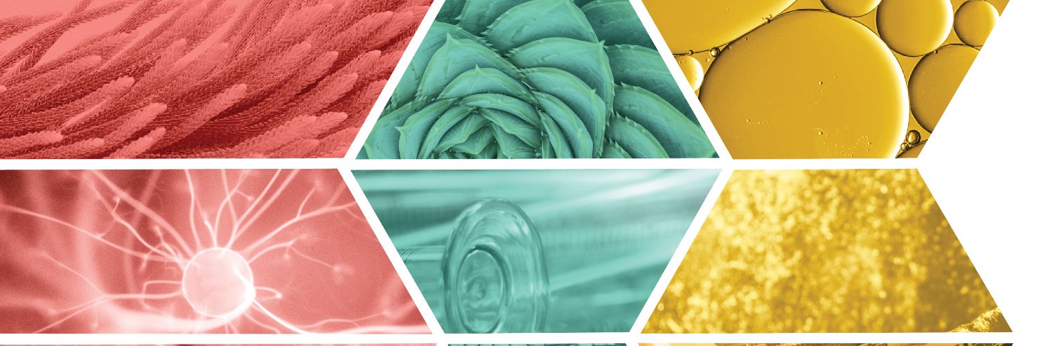 Cancer Free Economy banner