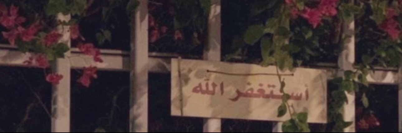 م🩶's banner