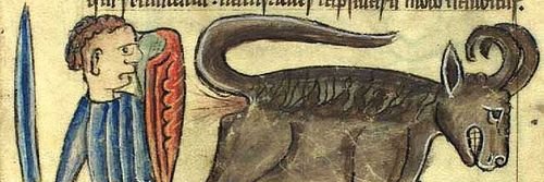 Marius Reinecker banner