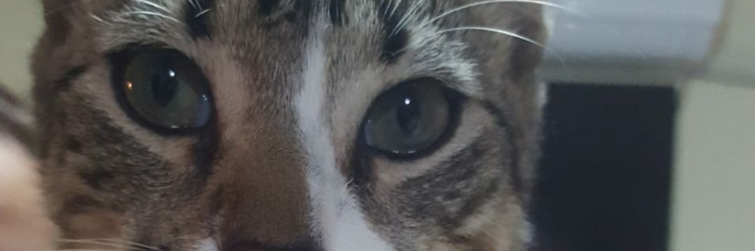MilaaaaM's profile banner image