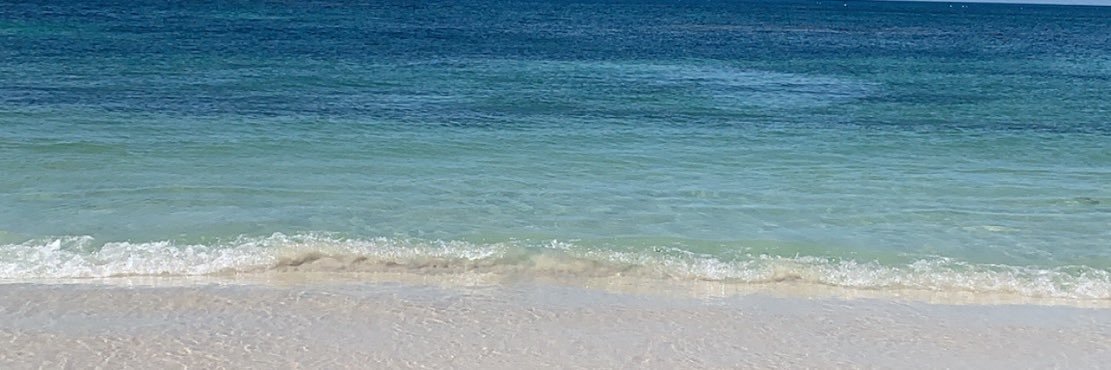 joannefletcher8's profile banner image