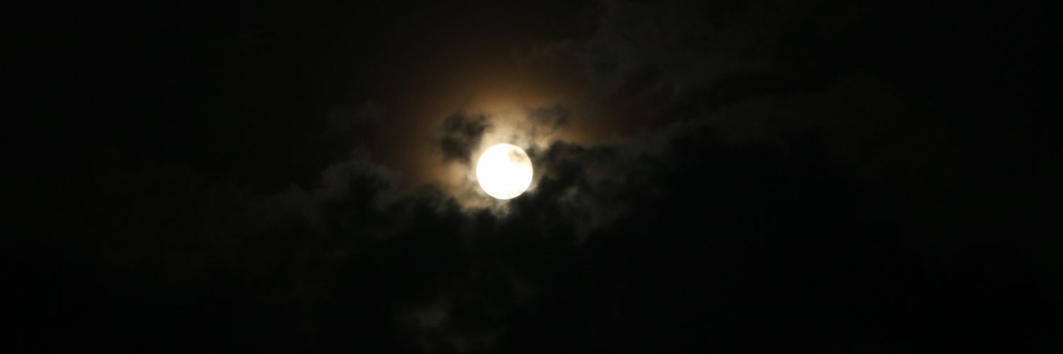 antmonibritto's profile banner image