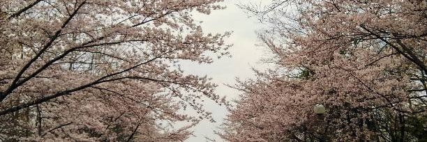 hassy55's profile banner image