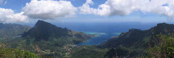 OsenbergLab Profile Banner