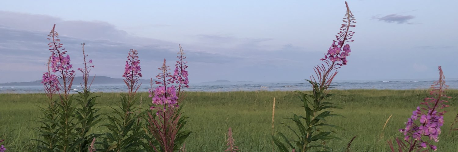 Mag 🌼 banner