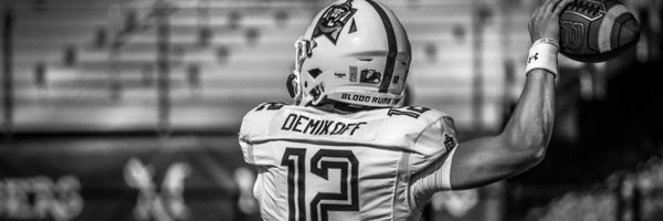 TDemikoff Profile Banner
