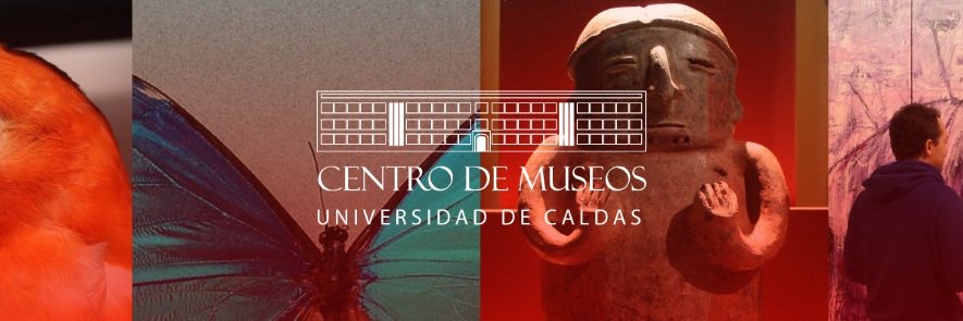 Centro de Museos banner