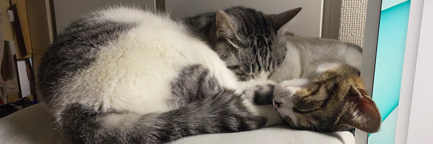 5gocchi¸.•💙 *¸.•❤️ banner