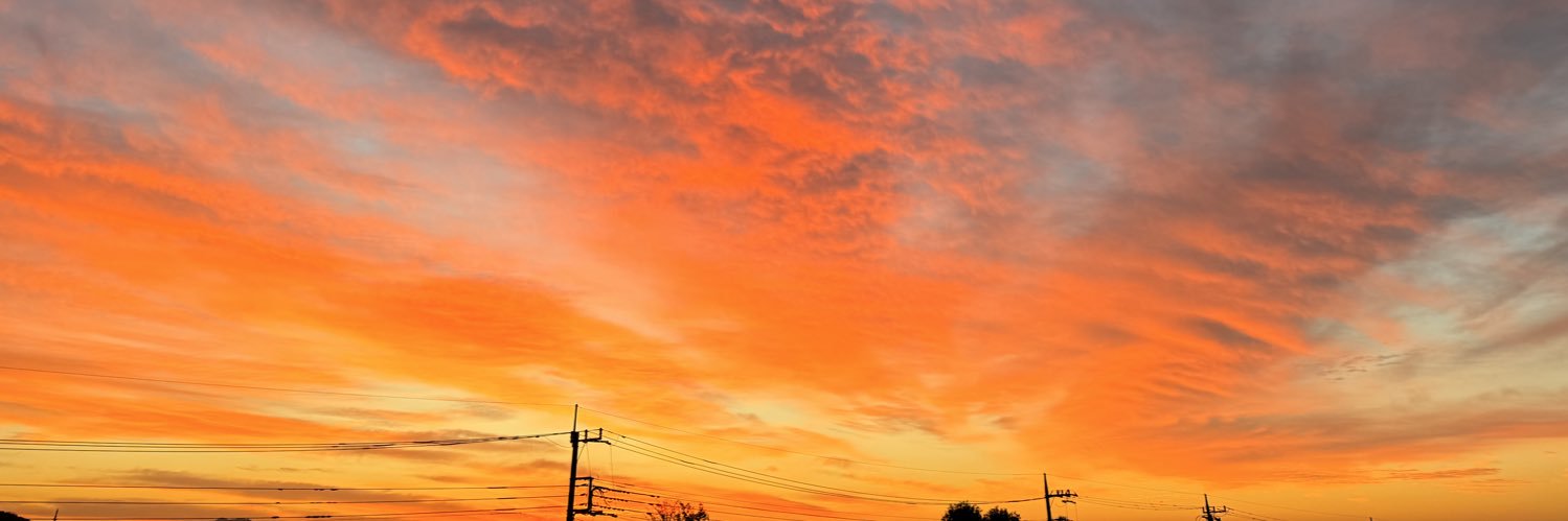 negitoro68's profile banner image