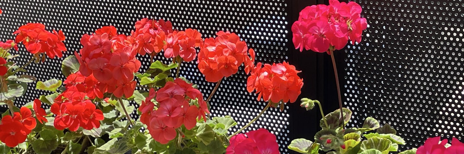 日本の素晴らしい伝統を守る岩盤保守です banner