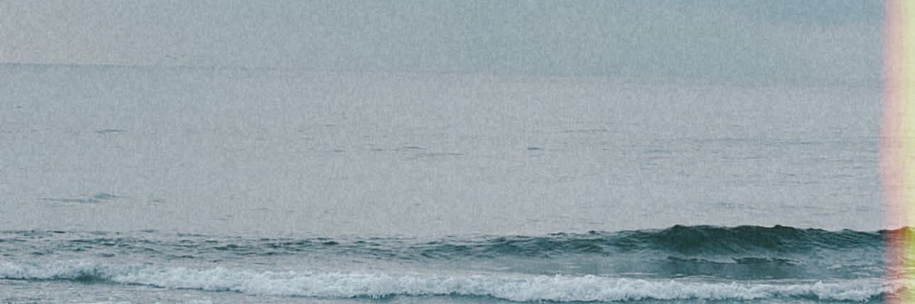 Llamas02R's profile banner image