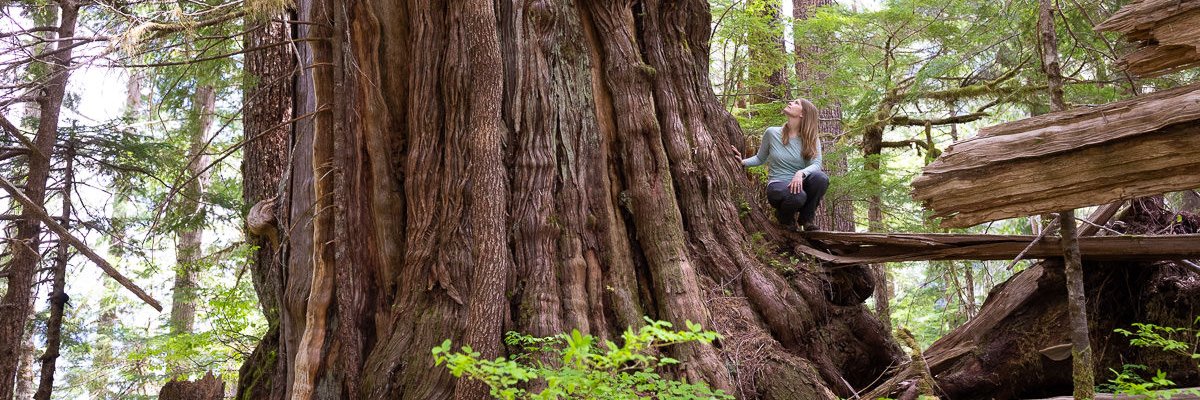 InnessAndrea's profile banner image