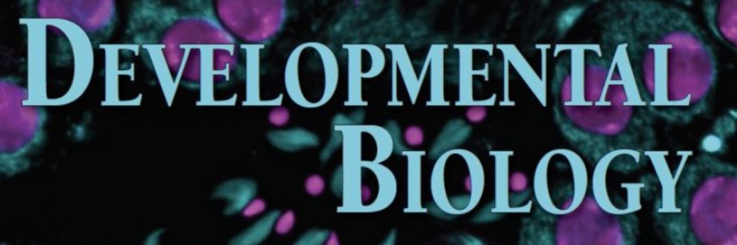 Developmental Biology's banner