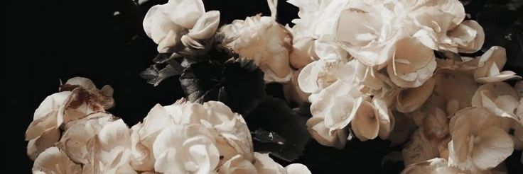 Love, K. banner