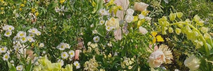 SifaaAw's profile banner image