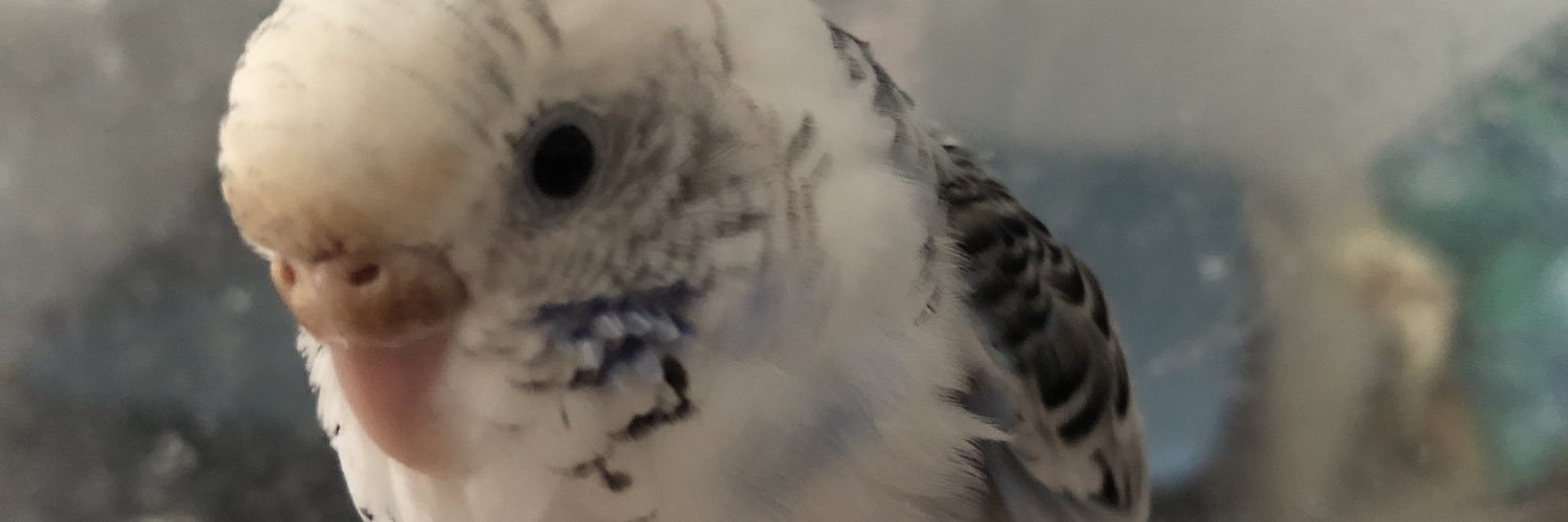 S0RAN0's profile banner image