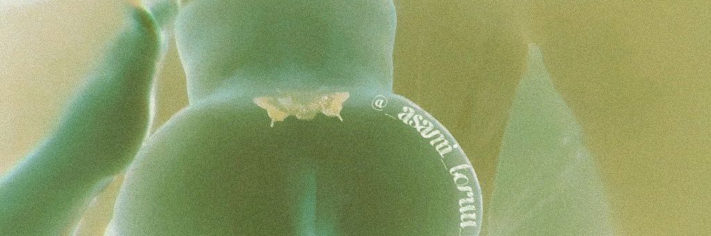 浅見 徹 ✨ banner