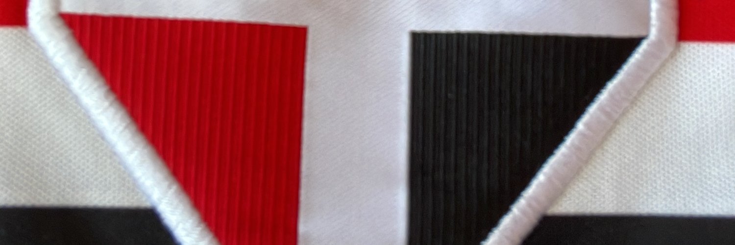 matador de pulga banner