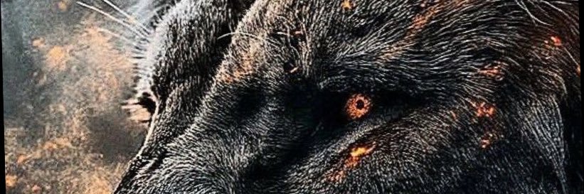 fairman01's profile banner image