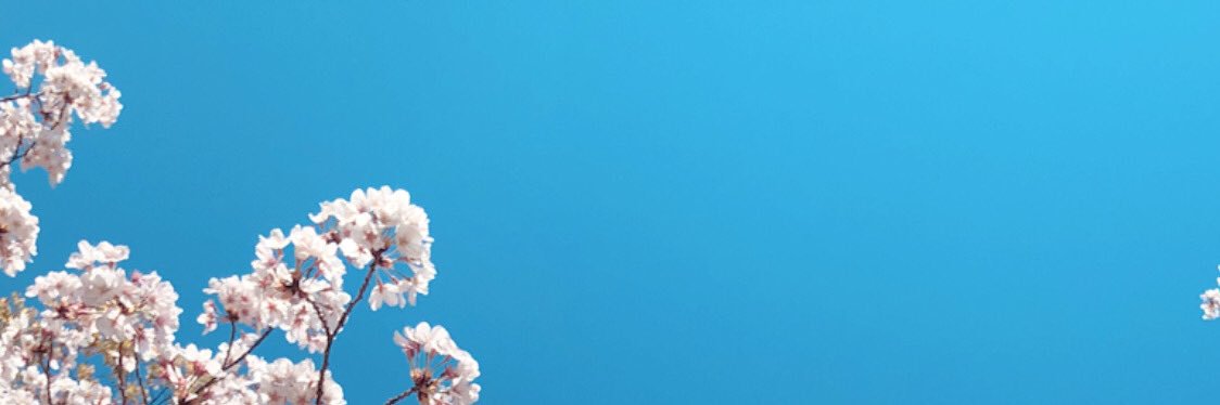 Bob_kompis's profile banner image