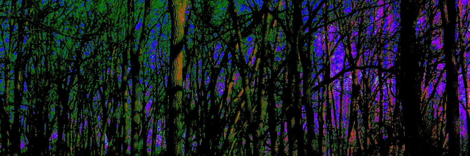 idknobodydoes's profile banner image