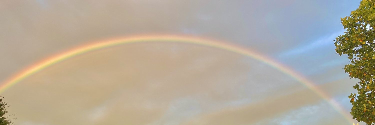 猫吉gay🐱@体力無無念 banner