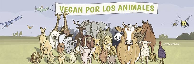 kr_oropeza's profile banner image
