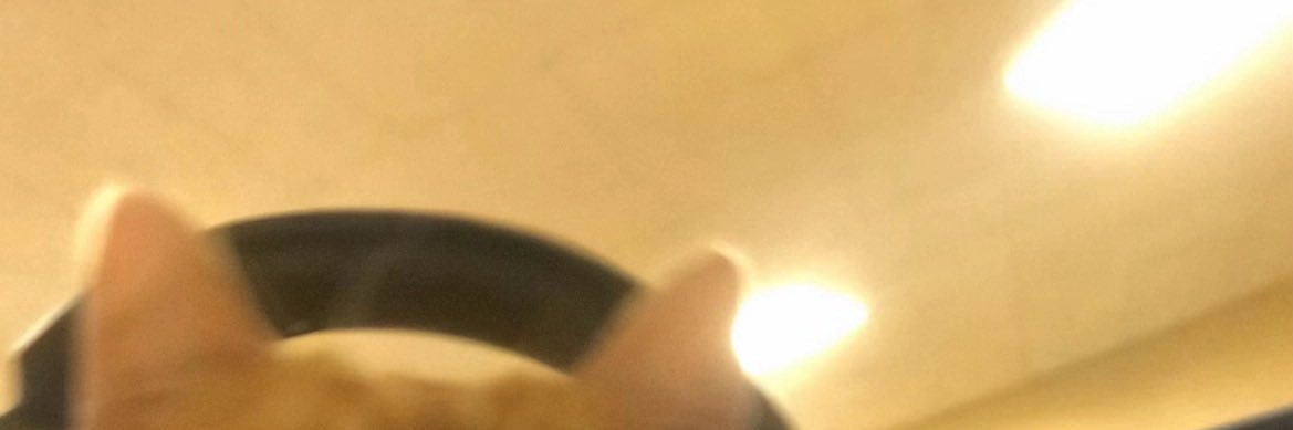 pjbtutt's profile banner image